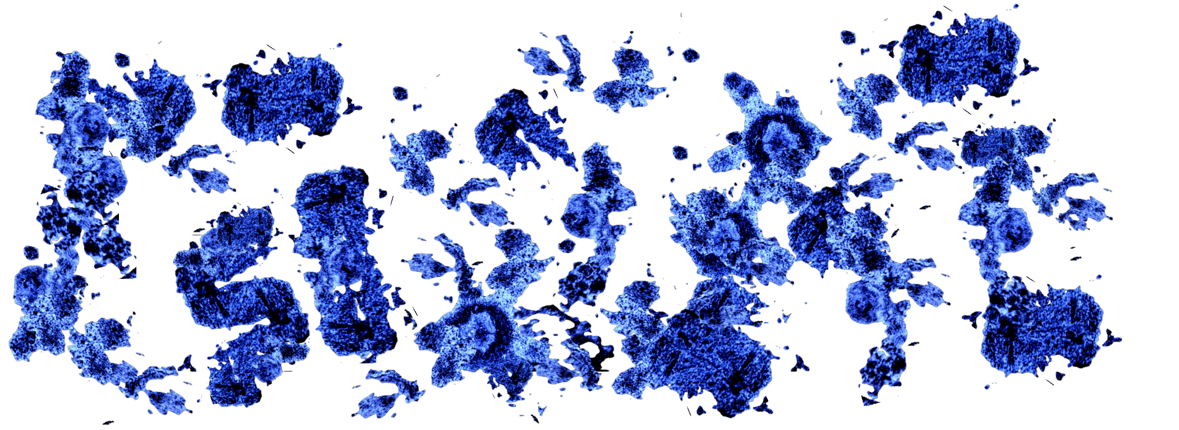 splotches of blue mold, spelling out "51"